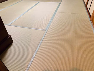 表替え / 熊本産畳表「ひのはるか」(経糸:麻綿、一番草)