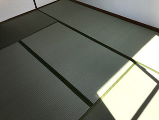 新畳 / 樹脂表