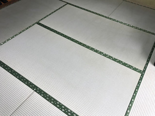 新畳 熊本県産男前表