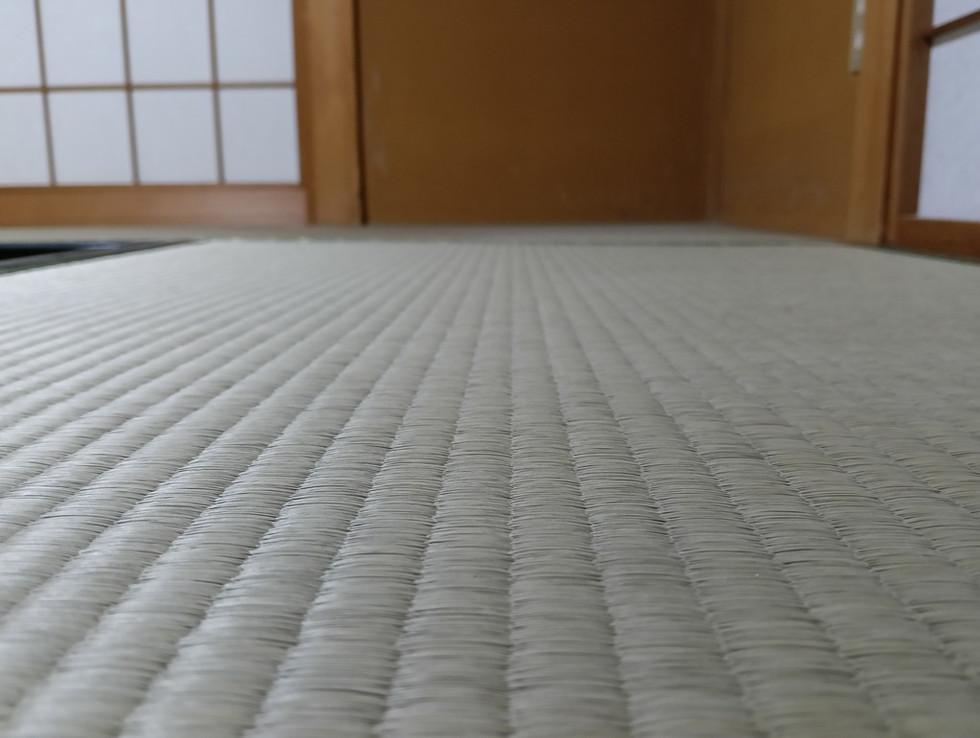 名古屋市名東区 高野様 熊本産畳表 中