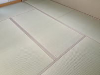 新調：熊本産畳表 / 上
