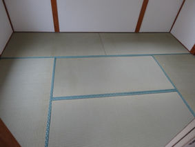畳 / 一軒家 賃貸物件