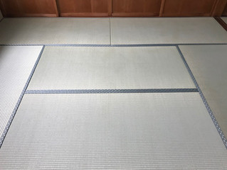 新畳 / 熊本県産男前表