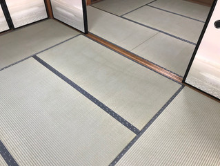 表替え 熊本県産畳表