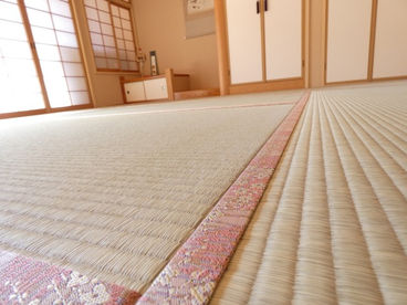表替え / 熊本県産ひのさらさ