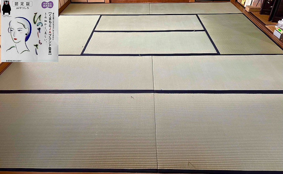 熊本産畳表「ひのさらさ」(経糸:麻綿糸 熊本県八代市 吉住さん作)