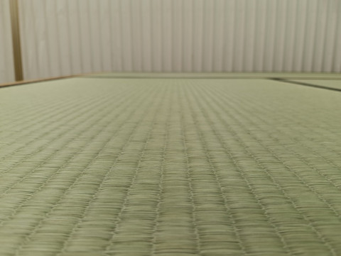 熊本産畳表 / 中