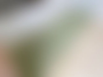 新畳 / 熊本産畳表「夕凪」(経糸:綿糸)