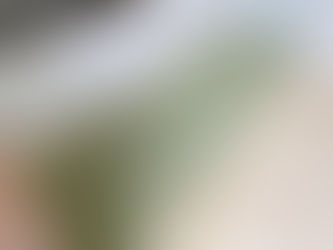 新畳 / 熊本産畳表「夕凪」(経糸:綿糸)