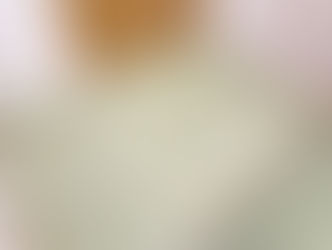 へり無畳 表替え：熊本産目積畳表