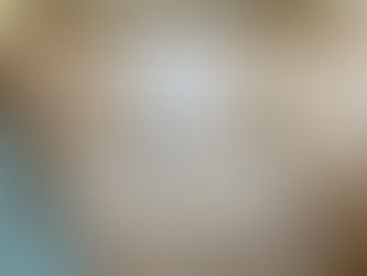 表替え / ダイケン清流亜麻色