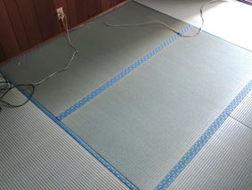 新畳 / 熊本県産畳表 涼風品種 綿々表使用