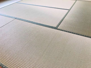 表替え / 熊本産畳表「ひのみどり」(経糸:太綿)