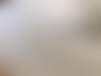 表替え / 熊本産畳表「ひのみどり」(経糸:太綿)