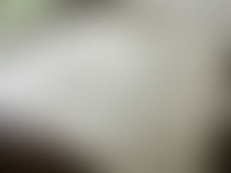 新畳 / 縁なし畳・ダイケン清流灰桜色