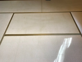 表替え / 熊本県産大和撫子表