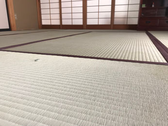 表替え / 大和撫子表