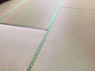 表替え / 熊本産畳表「ひのはるか」(経糸:綿々)