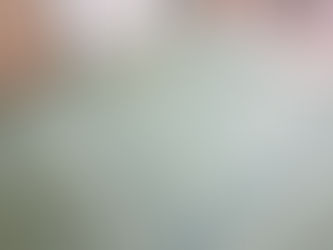 新畳 / 熊本産畳表「涼風」(経糸:麻綿糸)