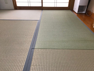 表替え / 熊本県産畳表 裏返し