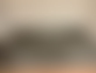 新畳 / ヘリなし和紙表