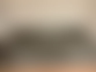 新畳 / ヘリなし和紙表