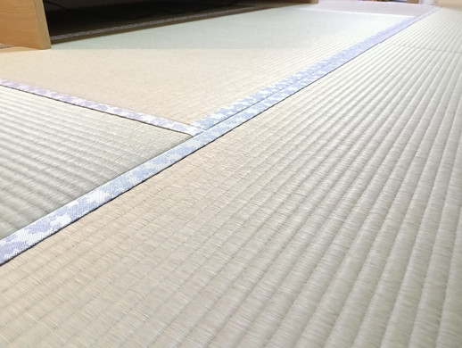 熊本産畳表 / 上