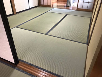 新畳 / 熊本県産畳表
