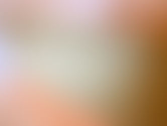 新畳 / 熊本産目積畳表(経糸:綿々)