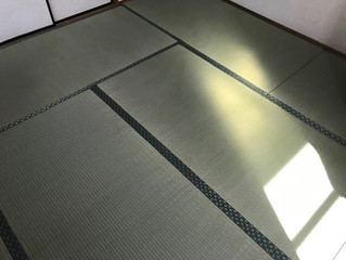 表替え / 熊本県産畳表