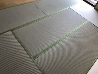 新畳 / 熊本県産畳表