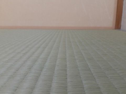 熊本産畳表 / 上