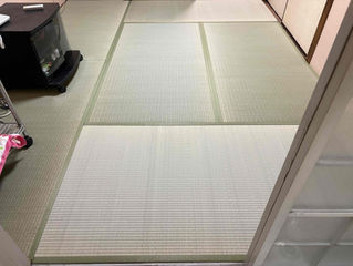 新畳 / 熊本産畳表「涼風」(経糸:綿々糸)