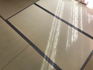 表替え / 熊本県産男前表