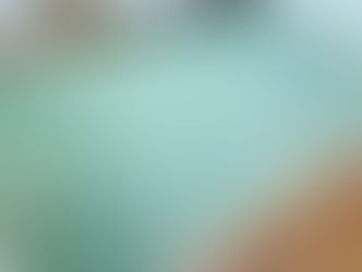 新畳 / 縁なし畳 熊本産目積畳表(経糸:綿々)