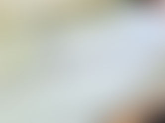 表替え / 熊本産畳表「ひのみどり」(経糸:綿糸)