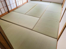表替え / 熊本産畳表「夕凪」(経糸:綿糸)