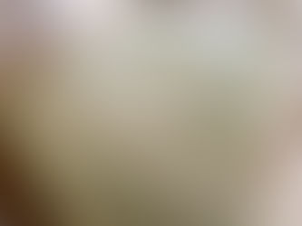 表替え / 熊本産畳表「夕凪」(経糸:綿糸)