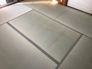 表替え 熊本県産畳表