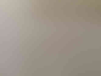 新調 / ヘリ無畳：リフェイス(フェリーチェ / Fｰ004)