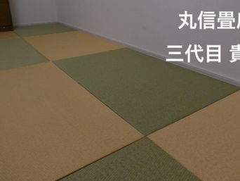 新畳 / ダイケン綾波 01銀白✕02黄金色