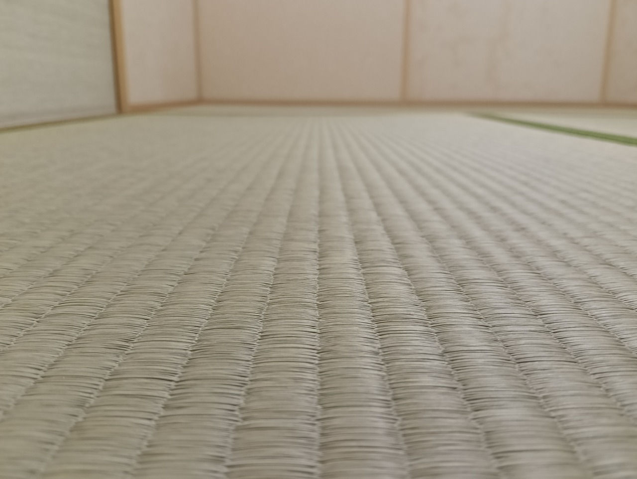 熊本産畳表 / 並