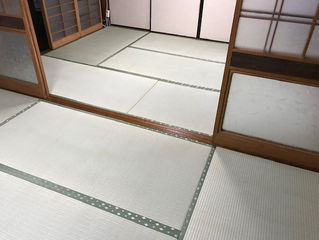 新畳 熊本県産畳表