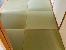 表替え / 熊本産目積畳表(経糸:綿々糸)