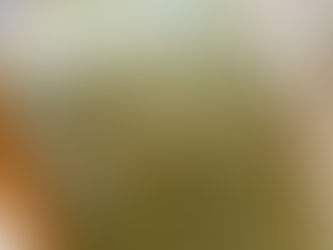 表替え / 熊本産目積畳表(経糸:綿々糸)