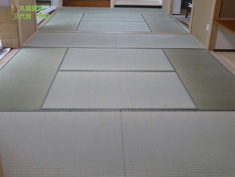 新畳 / 熊本県産畳表 涼風品種 麻綿表使用