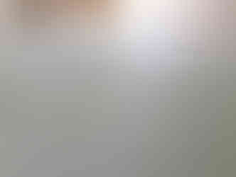 熊本産畳表 / 上