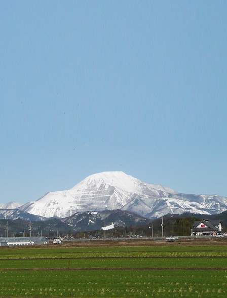 的場畳店,滋賀県,米原市,春照,畳替え,畳,襖,障子,網戸,米原市特選市場,oritemaibara