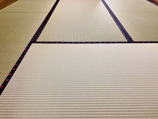 新畳 / 熊本産畳表「ひのはるか」(経糸:麻綿、一番草)