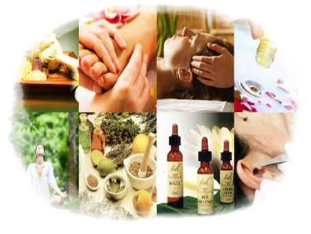 Medicina Tradicional ao alcance de todos